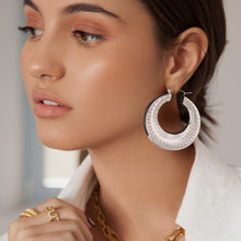 Load image into Gallery viewer, Classy Earrings Silver
